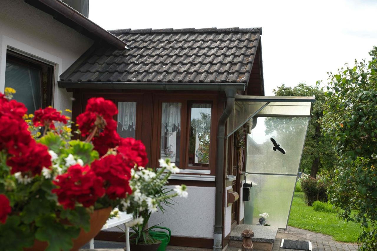 Ferienwohnung Werner Mit Terrasse Haundorf Экстерьер фото