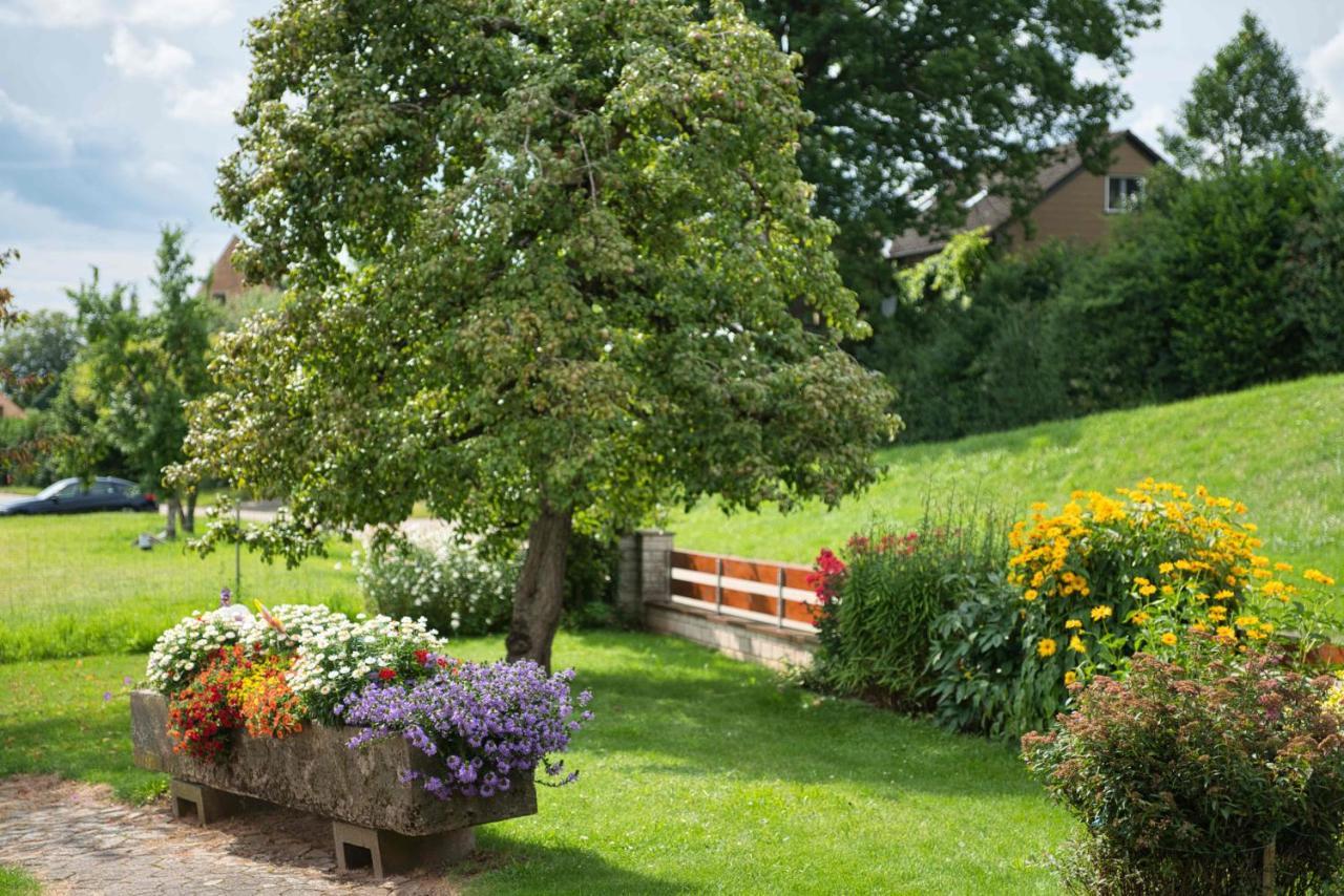 Ferienwohnung Werner Mit Terrasse Haundorf Экстерьер фото