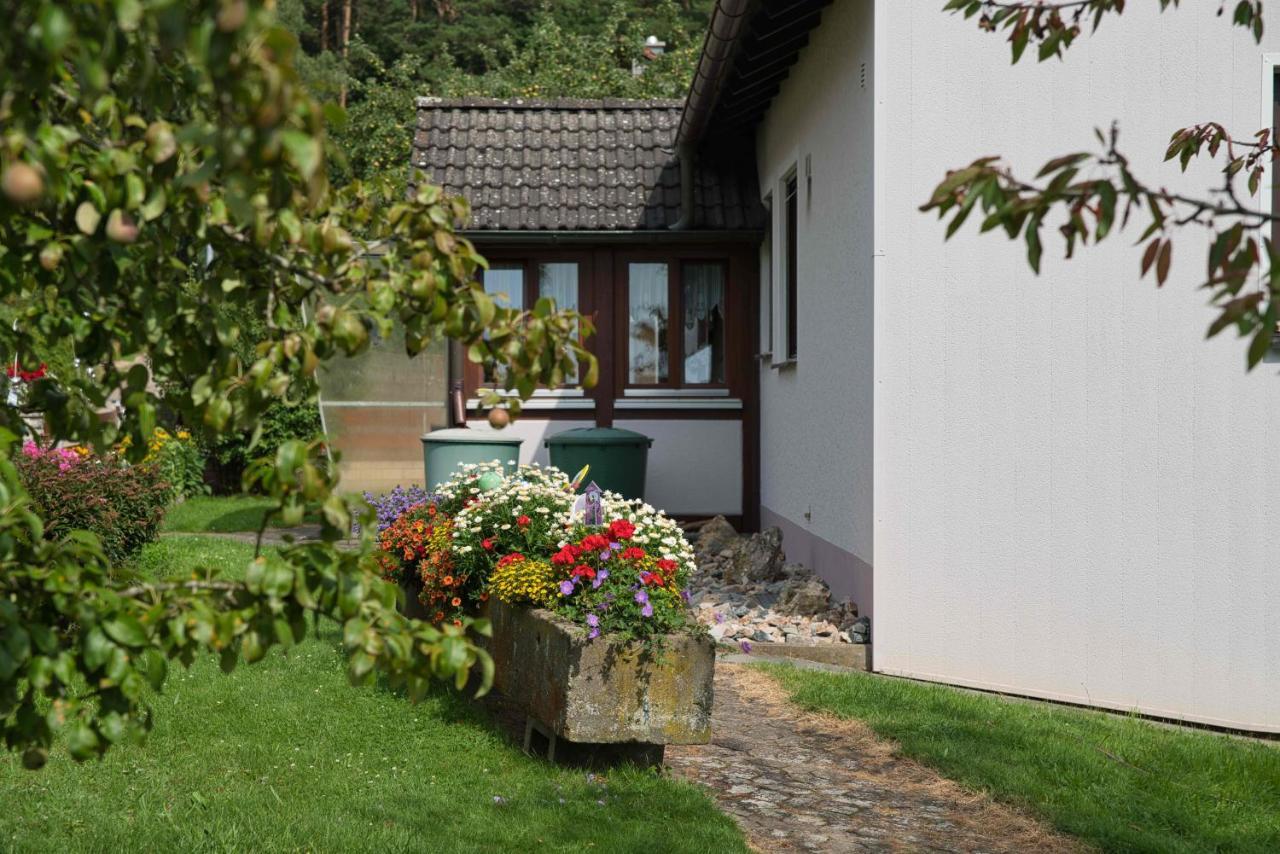 Ferienwohnung Werner Mit Terrasse Haundorf Экстерьер фото